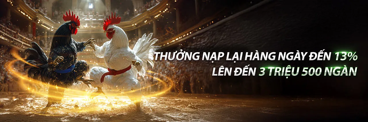 Sân đấu đá gà trực tuyến kịch tính tại 88k Đăng Nhập